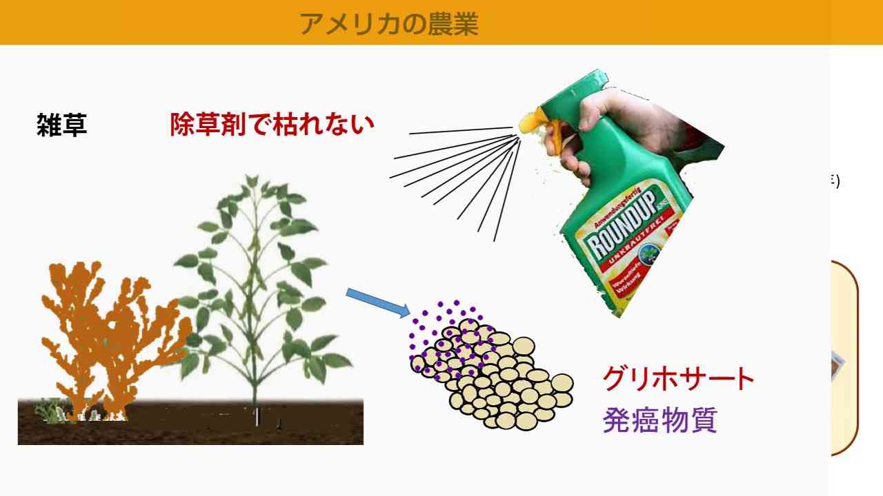 種子法廃止とは何か - YouTube
