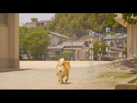飲酒運転撲滅啓発CM - YouTube