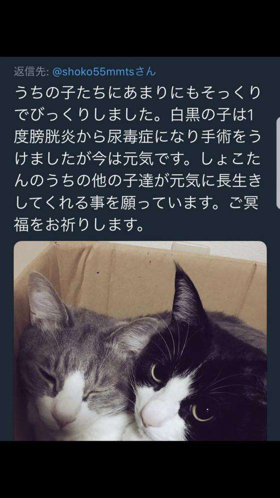 中川翔子、母・桂子さんへの想いをつづる 2ショット披露に「超美人親子」