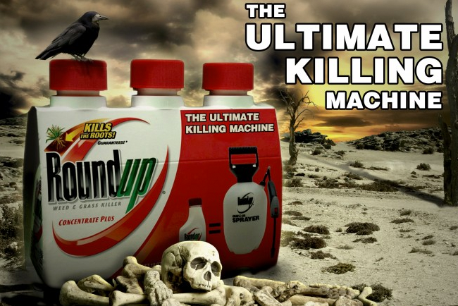 遺伝子組み換えとは｜遺伝子組み換えの裏側。