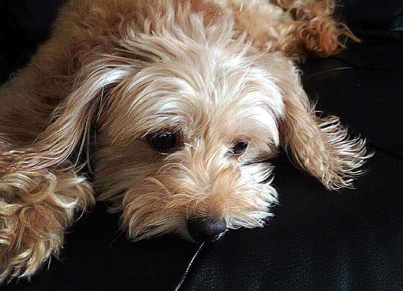 絶望の国 日本は世界一「若者自殺者」を量産している | PRESIDENT Online（プレジデントオンライン）