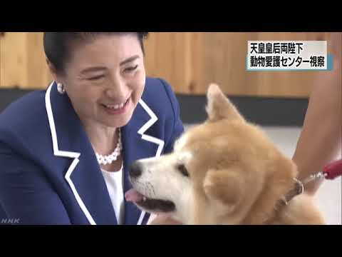 両陛下 動物愛護センターをご視察 秋田 - YouTube