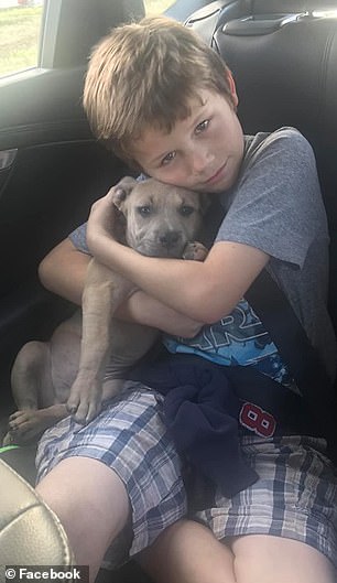 ピットブルの子犬が毒ヘビと格闘、子ども２人を守って死ぬ　米フロリダ州