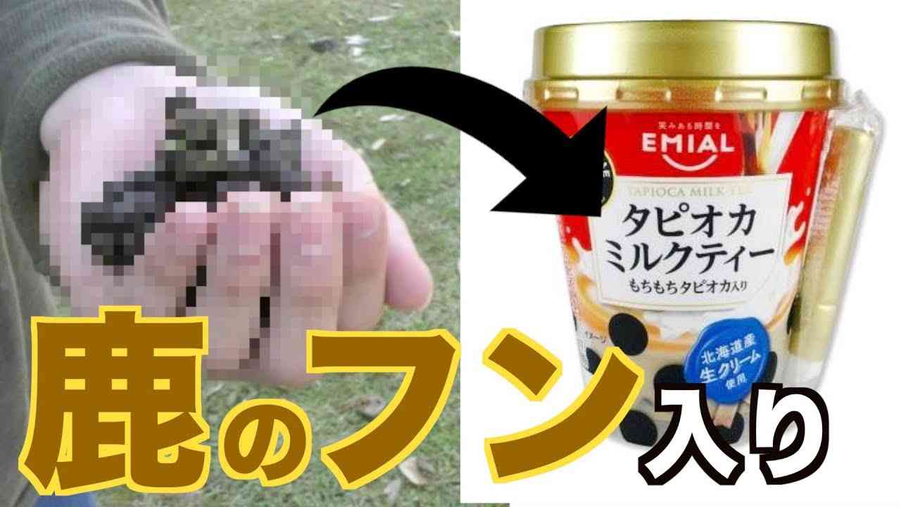 【ドッキリ】鹿のフンをタピオカの代わりに入れて鹿のフン入りタピオカドリンク飲ませてみた。 - YouTube