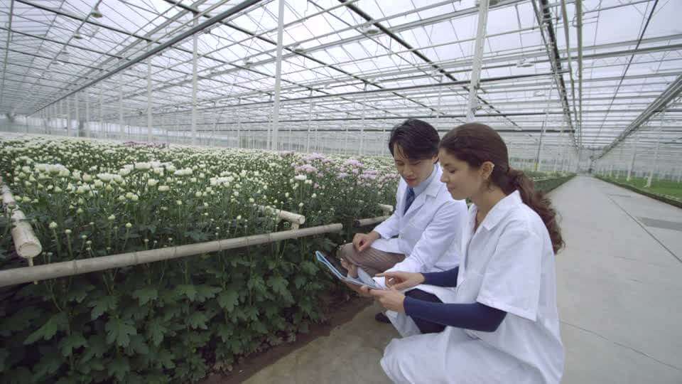 『彩子(さいこ)』郷に入っては…とんでもない名前になることも | わが子の名づけ話