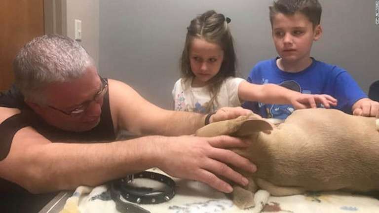 ピットブルの子犬が毒ヘビと格闘、子ども２人を守って死ぬ　米フロリダ州