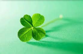 流産後の妊活、妊娠について