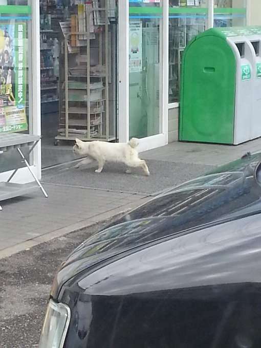 トイレを借りるだけでコンビニに入れますか？