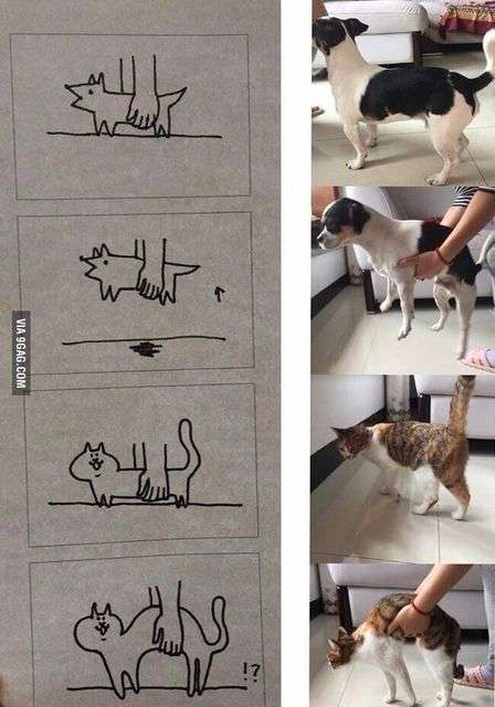 ぐにゃぐにゃな動物たち