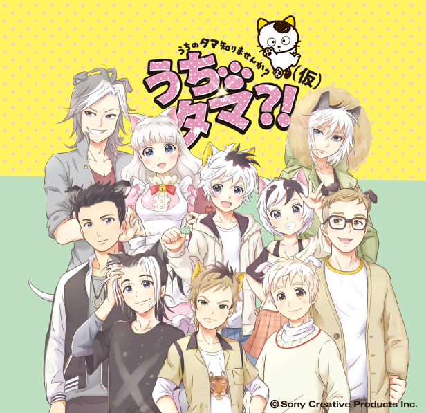 うちのタマ知りませんか？：擬人化アニメのビジュアル公開　タマやポチの“獣耳”キャラが大集合