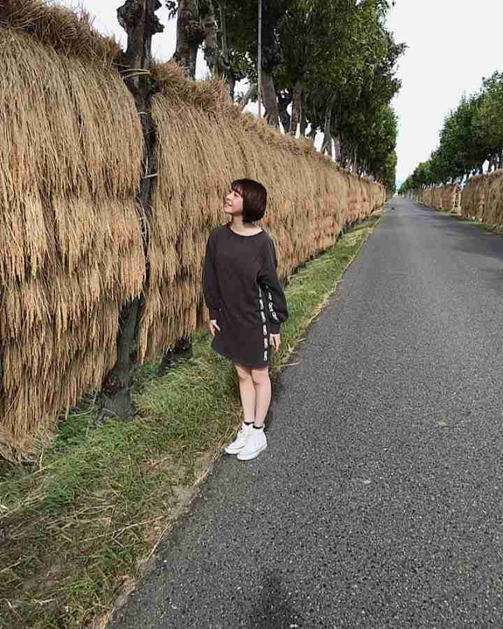 菅原  りこ on Instagram: “『新潟』と言ったらやっぱりコレ！！ 真っ白でツヤツヤでもちもち美味しい『お米?』です??✨ しっかり『稲ビーム??』も送ってきました✌️?✌️”