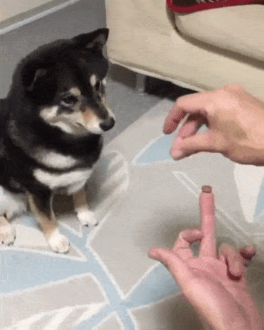 二度見どころか三度見したくなる画像やGIFが集まるトピ