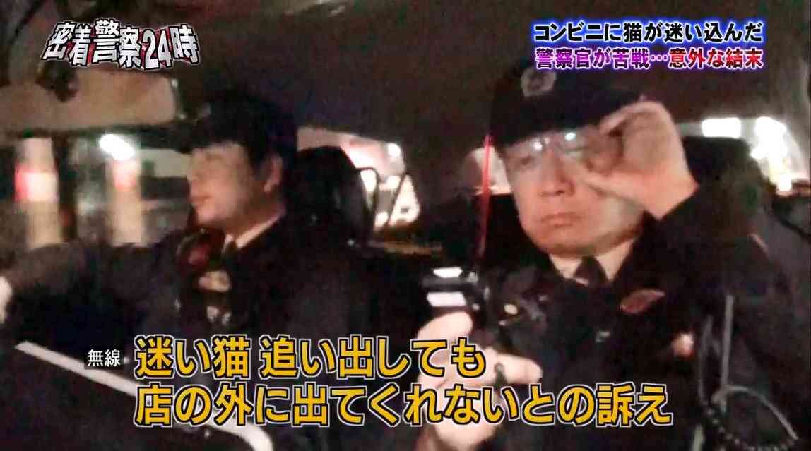 【警察24時】コンビニに不法侵入した猫を確保するも、警察が大の猫好きでみんなほっこりｗ 
