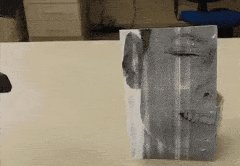 二度見どころか三度見したくなる画像やGIFが集まるトピ