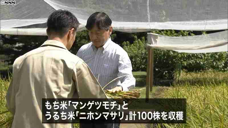天皇陛下　皇居で即位後初の「お稲刈り」（日本テレビ系（NNN）） - Yahoo!ニュース