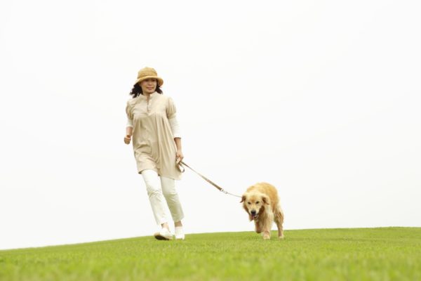 「犬にリードをつけないか！」　犬と散歩中の女性がいきなり殴られ血まみれに