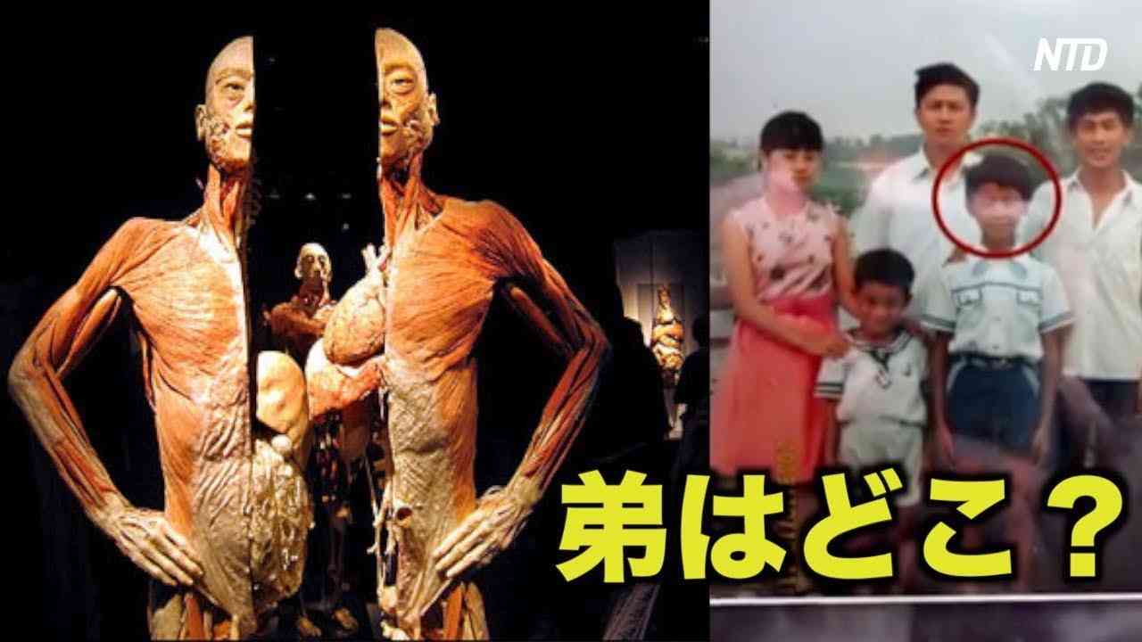 「弟はどこ？」豪州で開催中の人体標本展　兄がDNA鑑定を要求| ニュース | 新唐人| 報道 | 臓器 海外 - YouTube