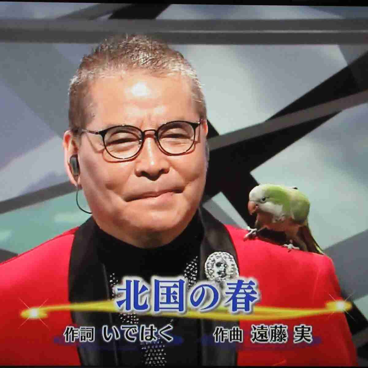 芸能人の飼ってるペット達集合!!