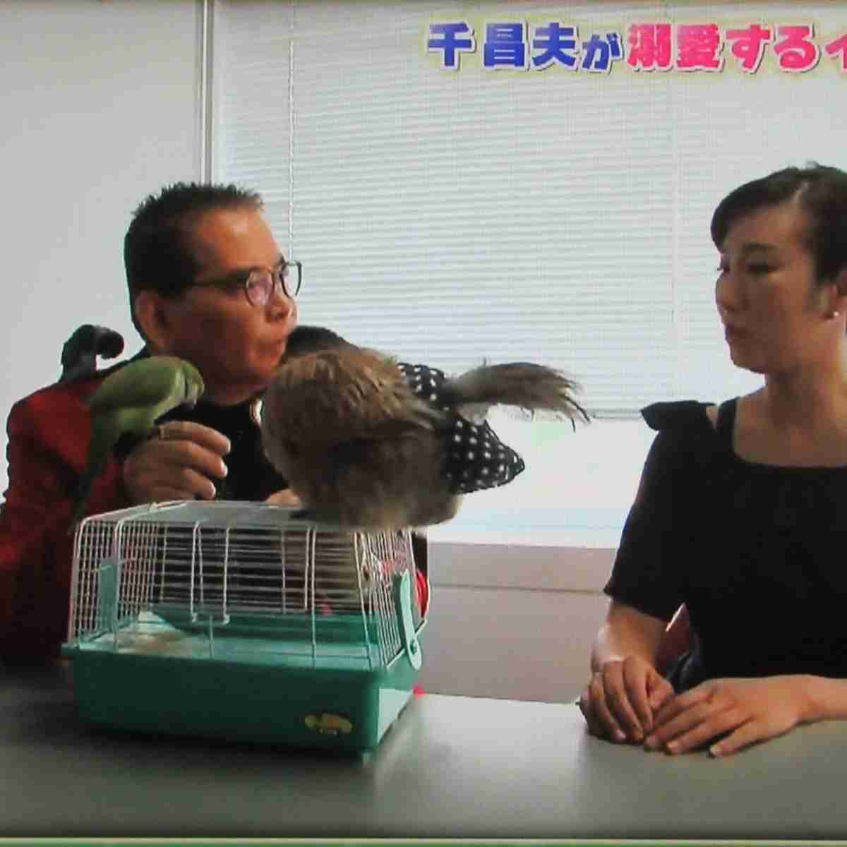 芸能人の飼ってるペット達集合!!