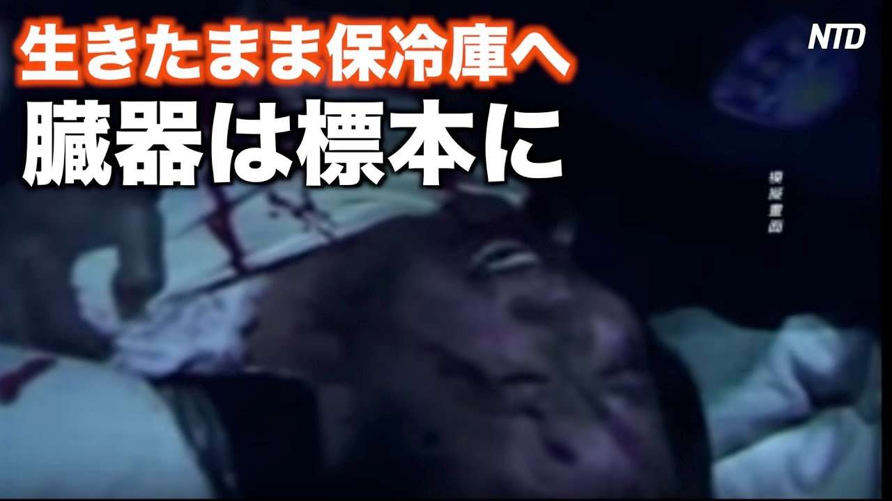 【禁聞】生きたまま保冷庫へ 臓器は標本に（中）| ニュース | 新唐人|中国 | 政治 - YouTube