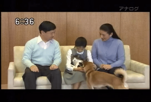 愛子さま 学習院の国際系学部に進学か、学内では志望者急増