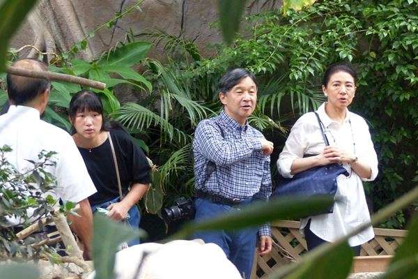 愛子さま 学習院の国際系学部に進学か、学内では志望者急増