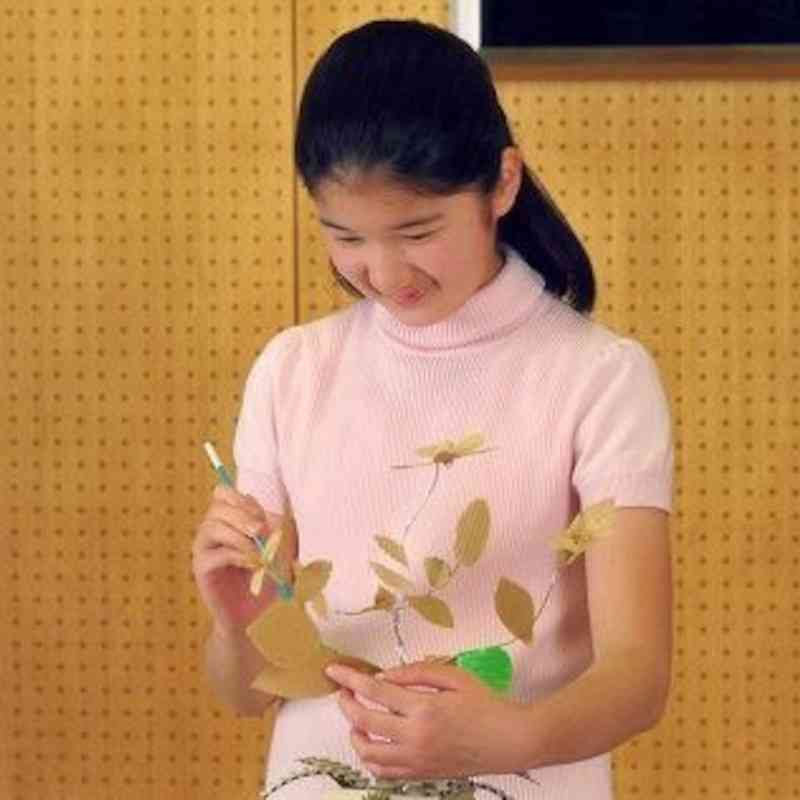 愛子さま 学習院の国際系学部に進学か、学内では志望者急増