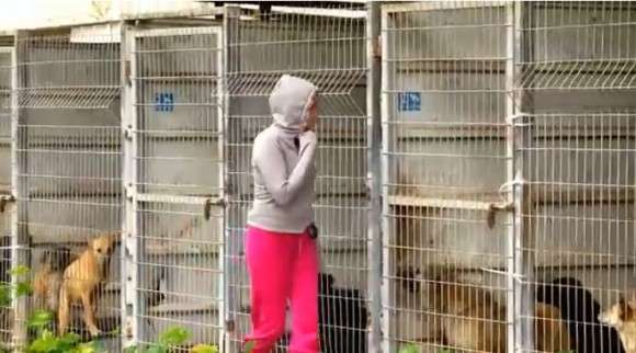 劣悪な状況にあったイスラエルの動物保護施設を丸ごと買い取った女性。収容されていた250匹以上犬全てが救われる