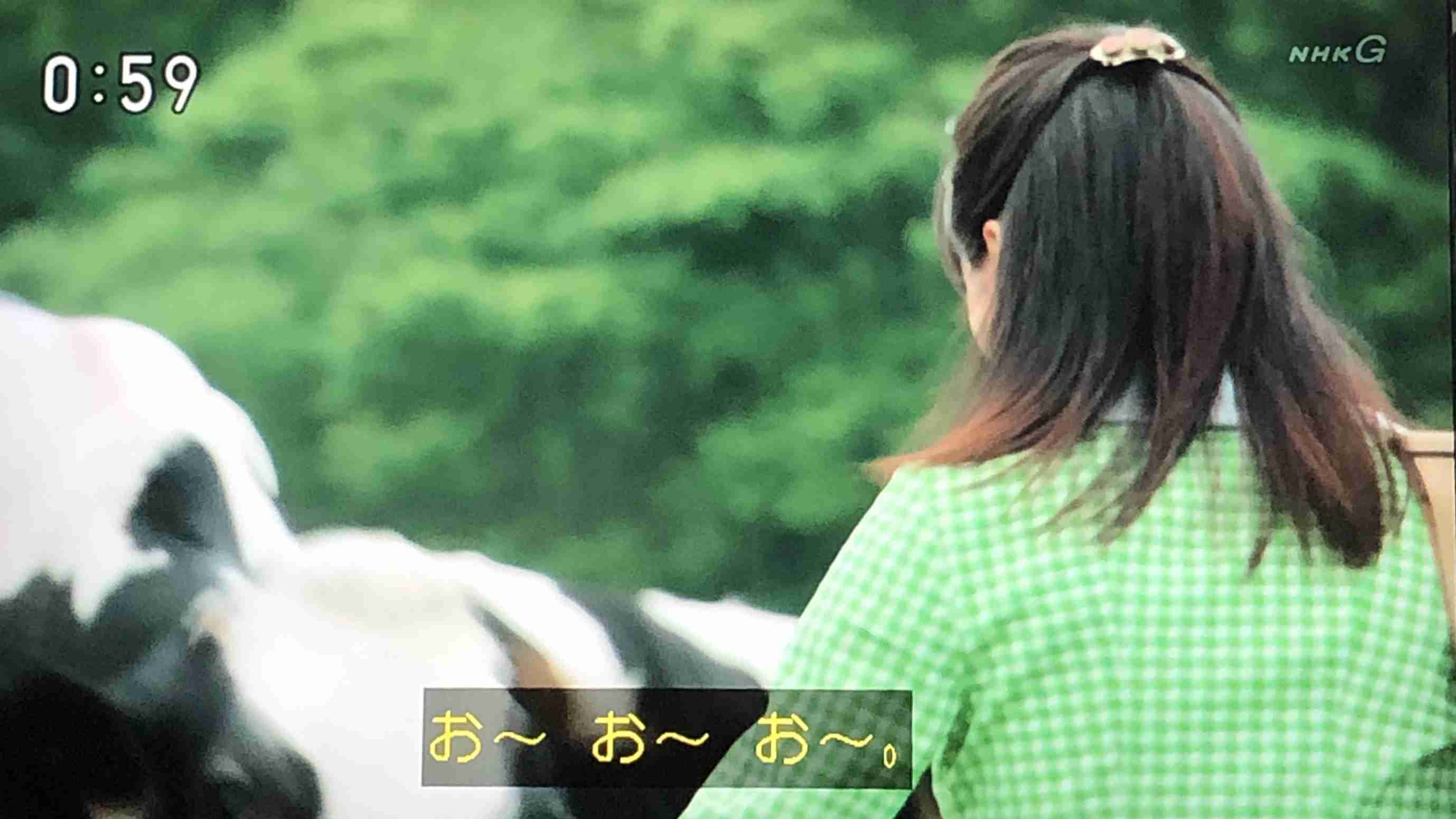 【なつぞら】第23週　なつよ、天陽くんにさよならを