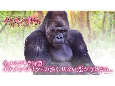 血液型占いって信じますか？
