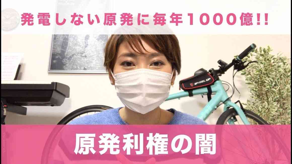 【原発利権の闇】稼働していない原発から毎年1000億の収益を得る企業・日本原子力発電 | Kawataのブログ