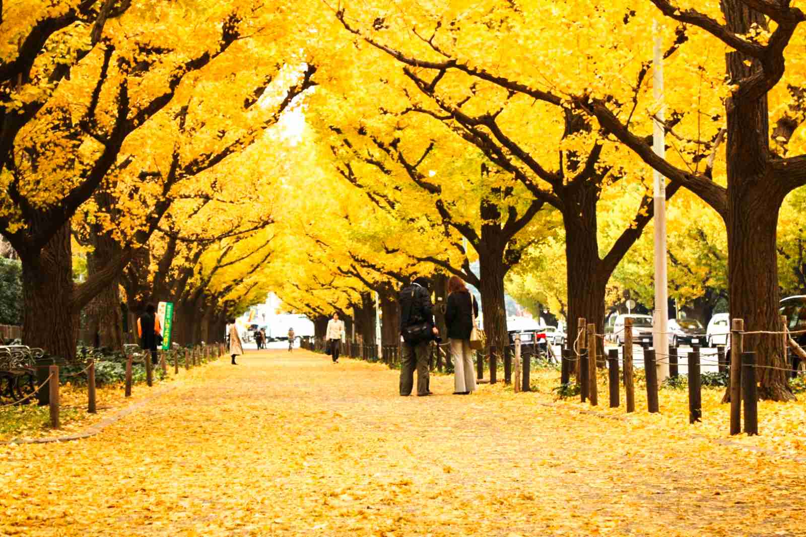 あなたが好きな、東京の街や場所♪