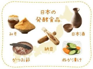 発酵食品の摂り方