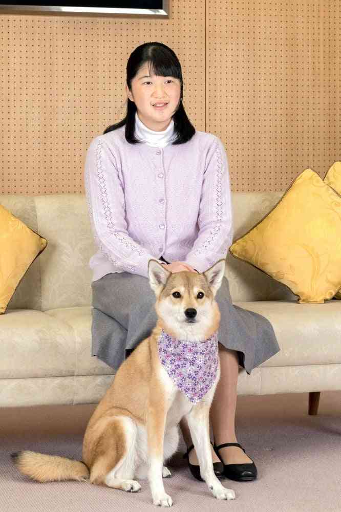 愛子さま 学習院の国際系学部に進学か、学内では志望者急増