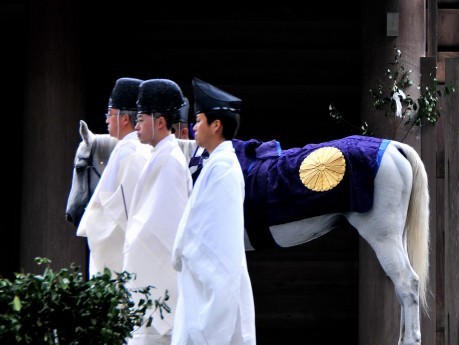 「神様に仕える馬」になる儀式－皇室から贈られた白馬2頭、伊勢神宮に - 伊勢志摩経済新聞