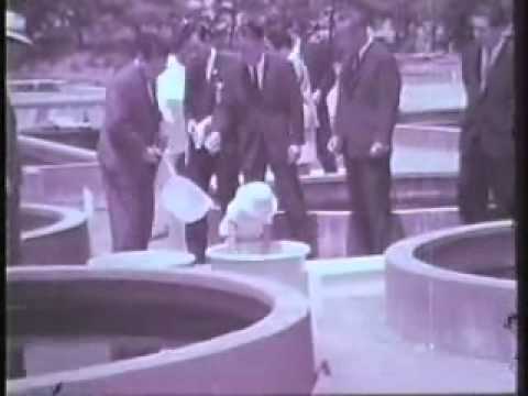 皇太子さまご一家奥浜名湖の休日 - YouTube