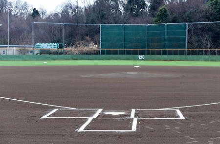 早実の秋季大会辞退は部員９人による問題行動か（日刊スポーツ） - Yahoo!ニュース
