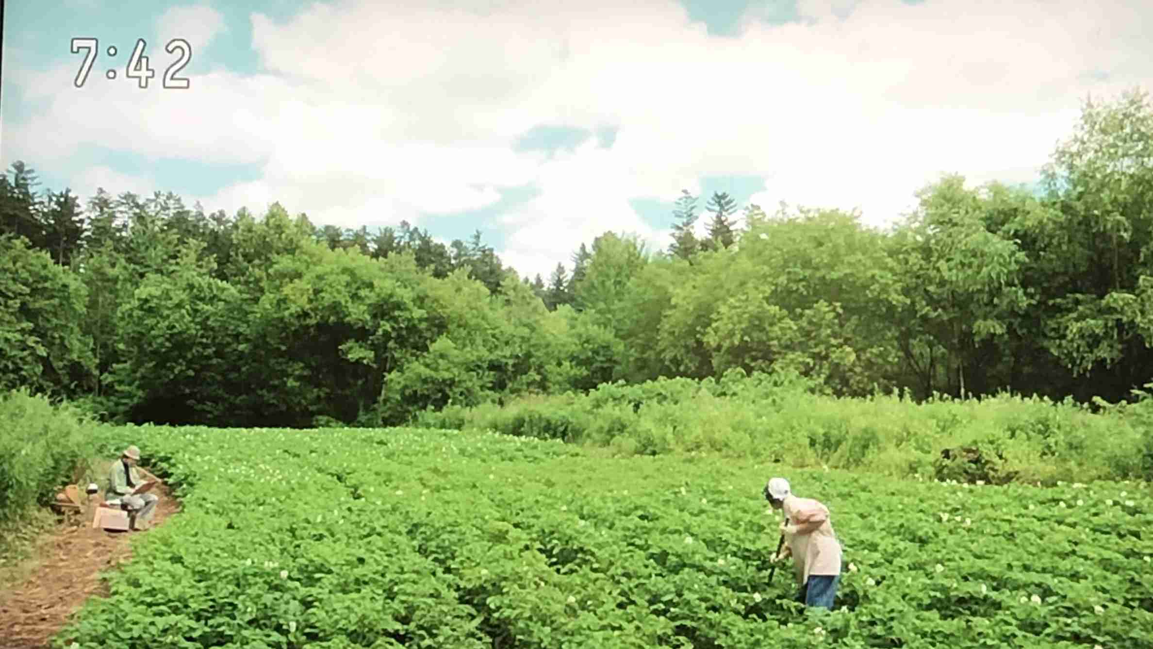 【なつぞら】第23週　なつよ、天陽くんにさよならを