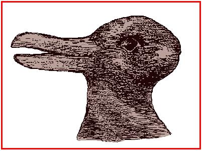 ねこ時々うさぎの写真を貼るトピ