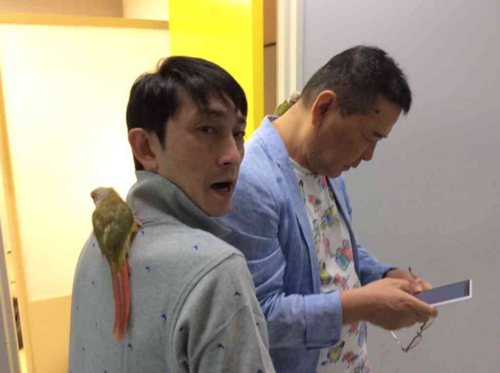 芸能人の飼ってるペット達集合!!