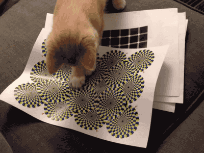 目の錯覚画像が見たい