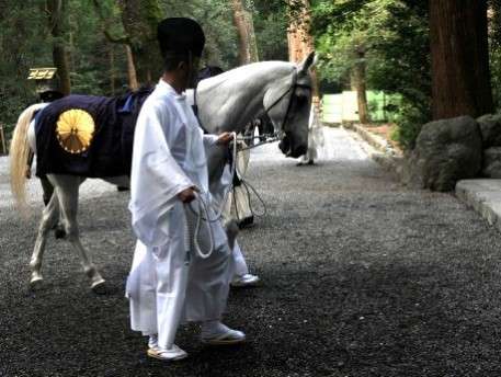 皇太子妃雅子さまの愛馬だった「空勇号」御馬から神馬に - 伊勢志摩経済新聞