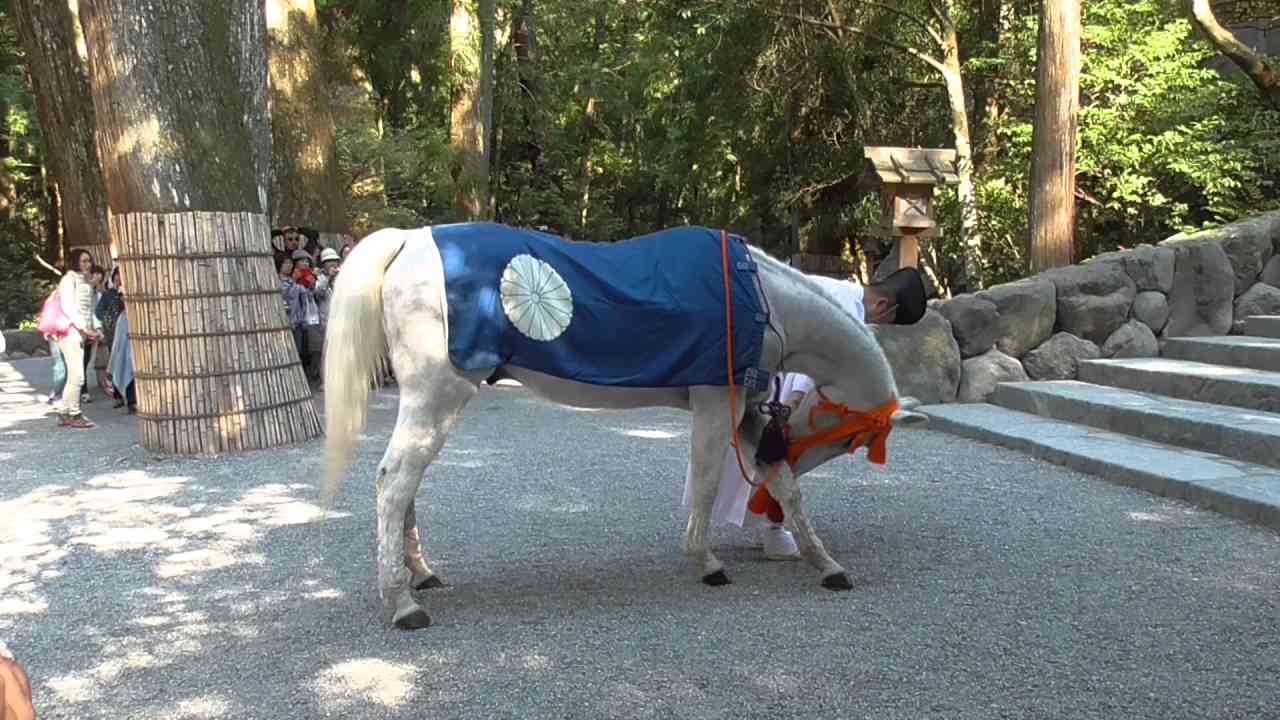 伊勢神宮内宮 神馬牽参（しんめけんざん） - YouTube