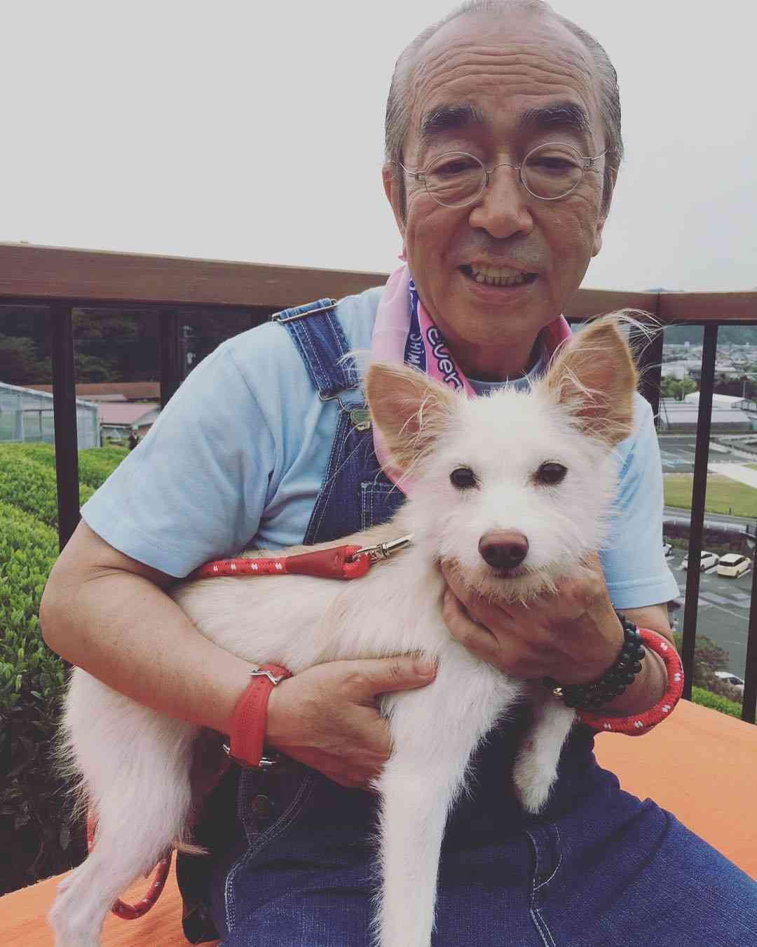 志村けん 若返りで「天才！志村どうぶつ園」降板の可能性