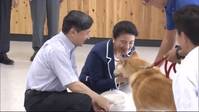 愛子さま 学習院の国際系学部に進学か、学内では志望者急増