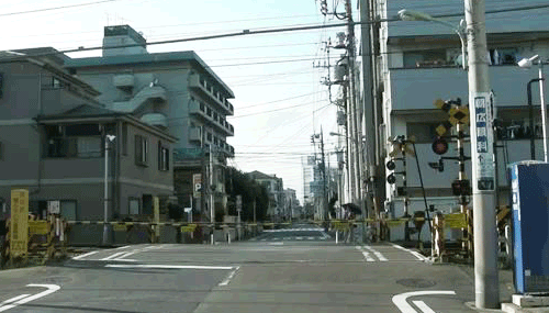 二度見どころか三度見したくなる画像やGIFが集まるトピ