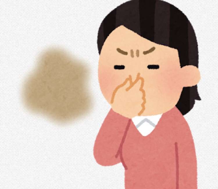 今まで嗅いだ中で一番臭かったもの ガールズちゃんねる Girls Channel 今まで嗅いだ中で一番臭かったもの ガールズちゃんねる Girls Channel