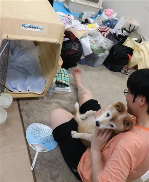 【西日本豪雨】避難所でもペットと一緒に　岡山・総社市が庁舎など３カ所開放 - 産経ニュース