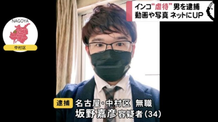インコに避妊具かぶせライターの火押し付ける…映像投稿の男に罰金20万円