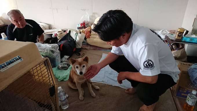 台風避難所「ペットNG」は「理解できない」  DaiGo「大切な家族」「ヒトも動物も関係ない」